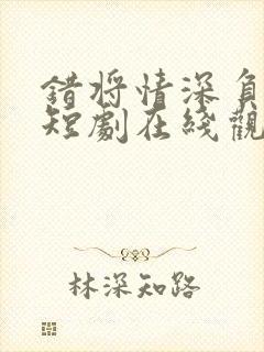 错将情深负流年短剧在线观看