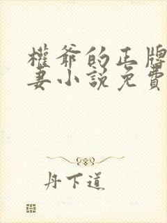 权爷的正牌小娇妻小说免费阅读