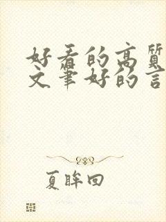 好看的高质量的文笔好的言情