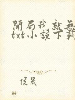 开局我就无敌了txt小说下载