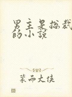 男主是总裁姓盛的小说