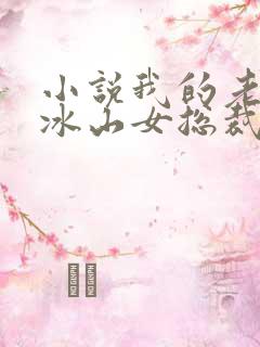 小说我的老婆是冰山女总裁