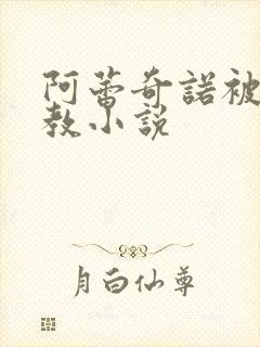 阿蕾奇诺被性调教小说