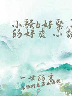 小骚b好紧,日的好爽 小说