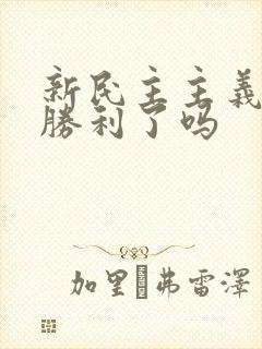 新民主主义革命胜利了吗