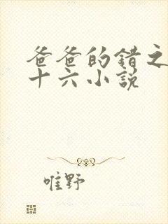 爸爸的错之女儿十六小说