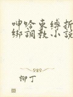 呻吟束缚折磨捆绑调教小说