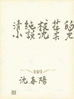 清纯校花的日常小说沈柔免费阅读