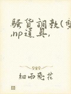 骚货调教(双性,np道具,