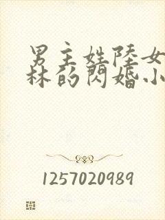 男主姓陆女主姓林的闪婚小说