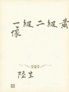 一级二级黄色录像