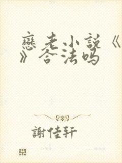 恋老小说《孽种》合法吗