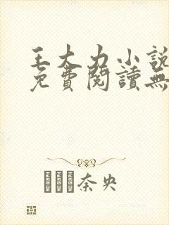 王大力小说小说免费阅读无弹窗