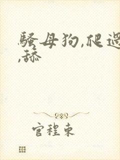 骚母狗,爬过来,舔