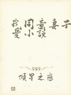 我同意妻子谈恋爱小说