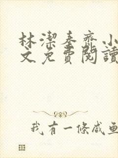 林洁秦齐小说全文免费阅读最新章节