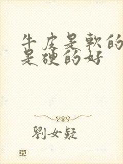 牛皮是软的好还是硬的好