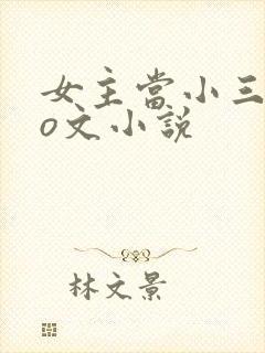 女主当小三的po文小说
