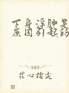 下身浮肿是什么原因引起的男性