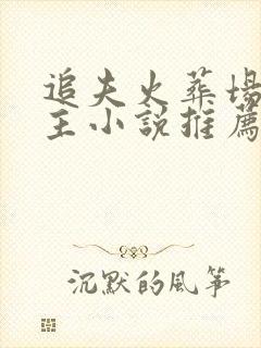 追夫火葬场双男主小说推荐