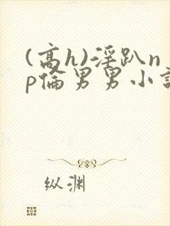 (高h)淫趴np伦男男小说