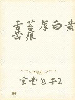 舌苔厚白黄腻有齿痕