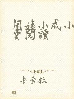 周姨小成小说免费阅读