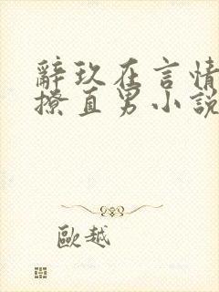 辞玖在言情文里撩直男小说