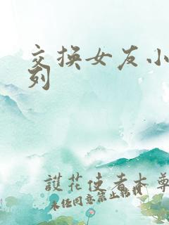 交换女友小说系列