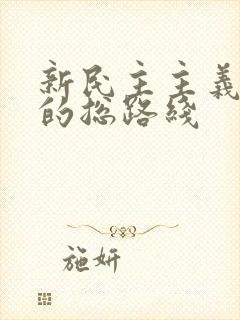 新民主主义革命的总路线