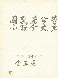 国民老公带回家小说全文免费阅读