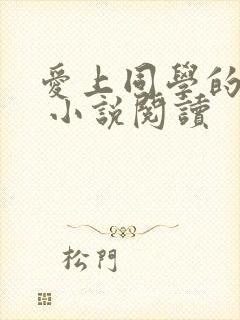 爱上同学的妈妈 小说阅读