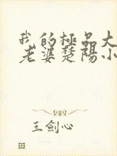 我的极品大小姐老婆楚阳小说阅读