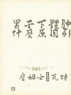 男子下体肿大是什么原因引起的