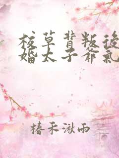 校草背叛后我闪婚太子爷气疯他苏念笙结局