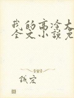 我的高冷大小姐全文小说免费阅读