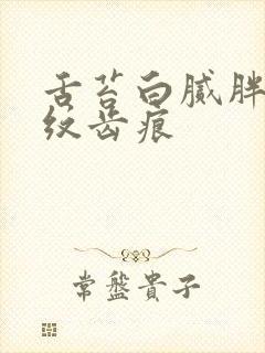 舌苔白腻胖大裂纹齿痕