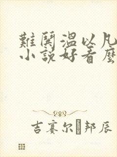 难哄温以凡桑延小说好看么