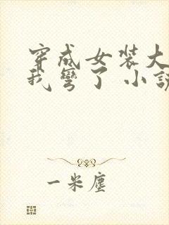 穿成女装大佬后我弯了 小说