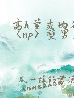 高h荤爽肉欲文〈np〉双男主