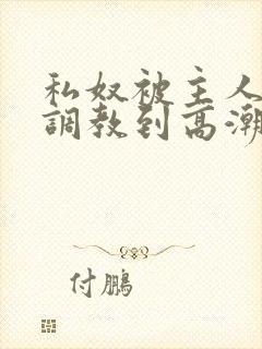 私奴被主人玩弄调教到高潮小说