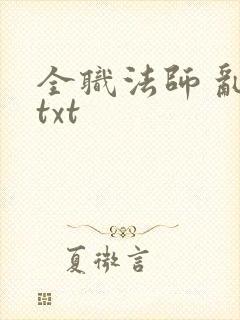 全职法师 乱 txt