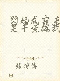 闪婚成宠老公竟是千亿总裁