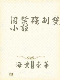 囚禁强制双男主小说