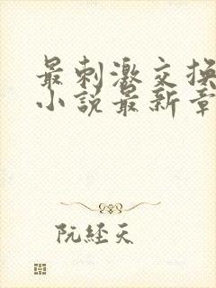 最刺激交换夫妇小说最新章节