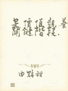 是价值观养成的关键阶段.