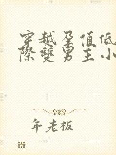 穿越孕值低的星际双男主小说