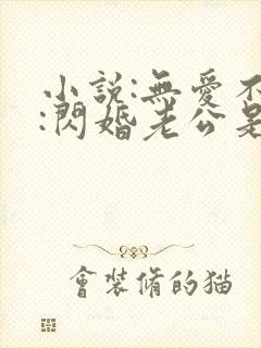 小说:无爱不欢:闪婚老公是大佬