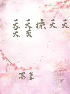 天天操天天摸天天爽