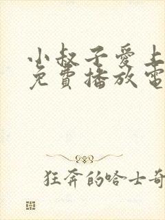 小叔子爱上嫂子免费播放电视剧中字